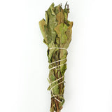 Harvested in the first spring of 2024, the tea is made from century-old fir trees. The tea has a rich, milky flavor, a deep rock rhyme, and a natural fir fragrance and mineral aroma.