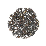 Cinnamon meets peach, a perfect duet | High Mountain Organic Cinnamon Single Bush | Chaozhou Fenghuang Mountain | Certified Organic | Spicy cinnamon, sweet peach | 2025 Spring Tea Limited Edition