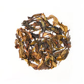 "Foul in name, fragrant in reality, stunning on the tongue" | Organic Duck Shit Fragrance Dancong Tea | Floral and honey-like fragrance | 2025 Spring Tea | Organically grown