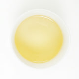 European Standard White Peony | Sweet and Refreshing Charm