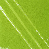 Organic Matcha Tea | Dark Green Essence & Seaweed Butter Duo