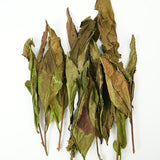 Harvested in the first spring of 2024, the tea is made from century-old fir trees. The tea has a rich, milky flavor, a deep rock rhyme, and a natural fir fragrance and mineral aroma.