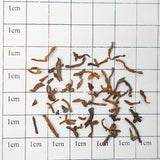 European Standard Ripe Pu-erh Tea (Rare Aged) | Rock Sugar Glutinous Rice