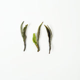 2025 Gaoshan Meizhan Premium White Peony Tea | First Spring Harvest Fuding White Tea | Sweet Floral Fragrance, Collectible