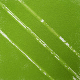 European standard matcha | bitter aftertaste, seaweed butter aroma, smooth