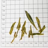 🍃|2025 Qingqian European Standard Organic Certified Longjing Tea·Spring Tea First Picking|Traditional Hand-roasted·Fresh and Sweet|Zero Pesticide Original Leaf Green Tea|Natural Bean Fragrance and Orchid Flavor