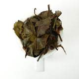 2024 Autumn Harvest Shoumei White Tea | Sun-dried, woody and sweet, high-mountain harvest