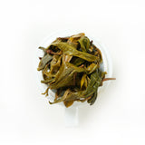 Certified Organic Plum Green Pu'er | 2025 Spring Ancient Tree Tea | Rock Sugar Sweet Green Plum Wine | Certified Organic | Rare Producing Area in Lincang, Yunnan