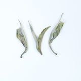 High Mountain Organic White Peony Tea - Honey Floral Aroma, Sun-Dried, Hand-Picked Spring Buds, Wholesale Available