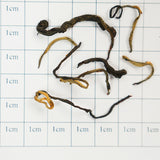 Imperial No. 9 Organic Black Tea, a Royal Tribute • A Symphony of Malt and Chocolate