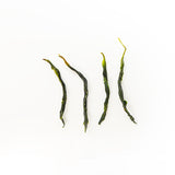 Organic Jade Dew | Fresh and Sweet