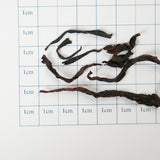 🌿【Rock Rhythm Aged Fragrance】European Standard Organic 2019 Old Cinnamon|Wuyishan Core Zhengyan Production Area|Traditional Charcoal Roasting·Aged for 5 Years|Cinnamon Spicy Fragrance·Mellow and Sweet|Limited Collection