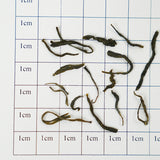 "First picked before Mingqian, as fresh as first dew" | 2025 Mingqian Maojian | Hand-roasted, with a sweet bean aroma | Certified organic high mountain tea | Limited to 200 cans