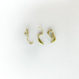 ๐ฟ Organic High Mountain Biluochun | Hand-picked first spring tea | Traditional hand-rolling, rich fruity aroma | 2025 Mingqian Special Grade | White hair, refreshing and sweet