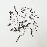 Taiwan Organic Jinxuan Oolong Black Tea | Natural Milky Flavor and Ripe Fruit Honey