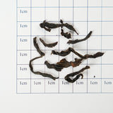 Centennial Fir and Moss Fragrance Organic Wusandi Old Fir