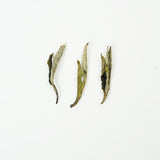 Four-Year Aged White Tea (2021) | Smooth and Sweet | Organic Pressed