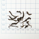 Organic Golden Peony | Sweet and Delicious