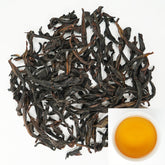 Honey Beauty | Nourishing Beauty with Tea