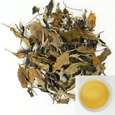 Fuding Gongmei Eyebrows | Three Years of Nourishing and Moisturizing