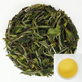 Zhenghe White Peony | Wild Sweetness