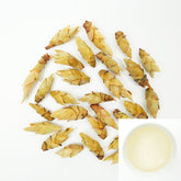 Wild Sprouts in a Secret Realm | Snow Bud Nourishing Essence