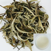 National Standard Moonlight White | Orchid Charm Nourishes the Heart