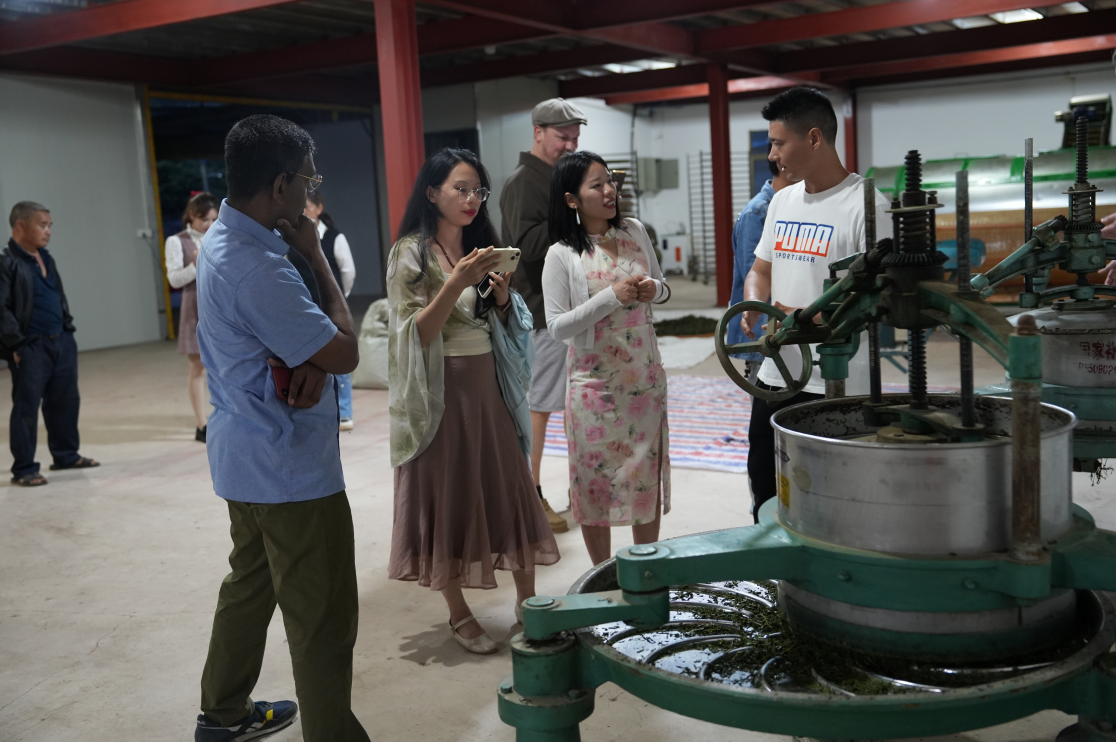 2025 ORTEA Premium Tourism