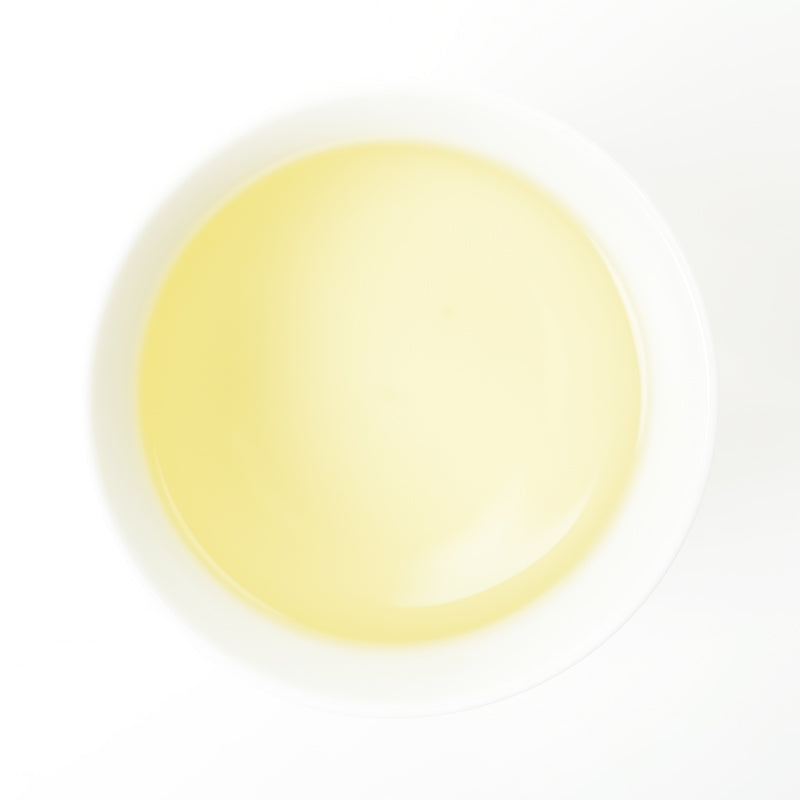 Wild Purple Buds | Plum Blossom Melody in Three Layers