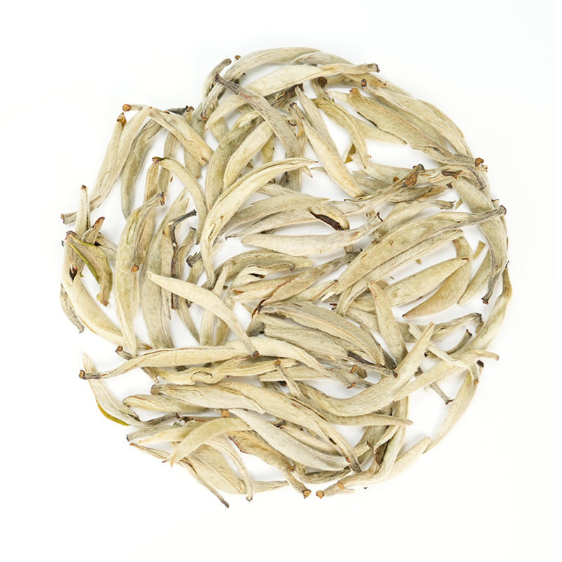 Jinggu Silver Needle | Cloud Bud Nourishing the Heart