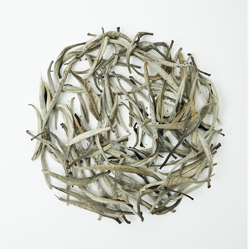 Centennial Silver Needle | Three Rhymes of Time