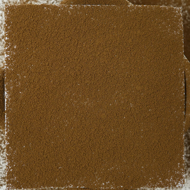 Organic Tea Cultivation | High-Altitude Warmth