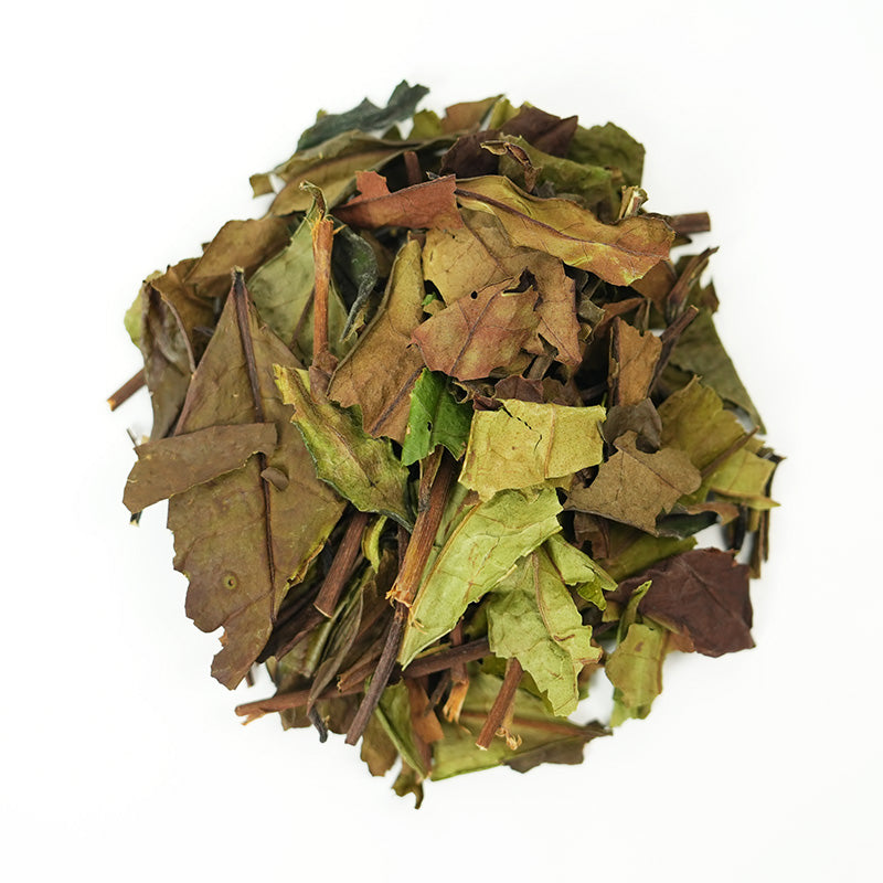 2025 Spring Limited Edition | Rock Milk Old Fir Milky White Tea, Century-Old Fir Charcoal Roasted Tea, Honey Milky Aroma | Wuyi Mountain High Mountain Rock Tea | Traditional Handmade Tea, Collectible Quality