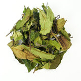 Organic Zhenghe Spring Shoumei White Tea - Originated in Fujian, Hand-picked Spring Buds and Leaves, Sun-Withered, Honey and Wood Fragrance, Wholesale