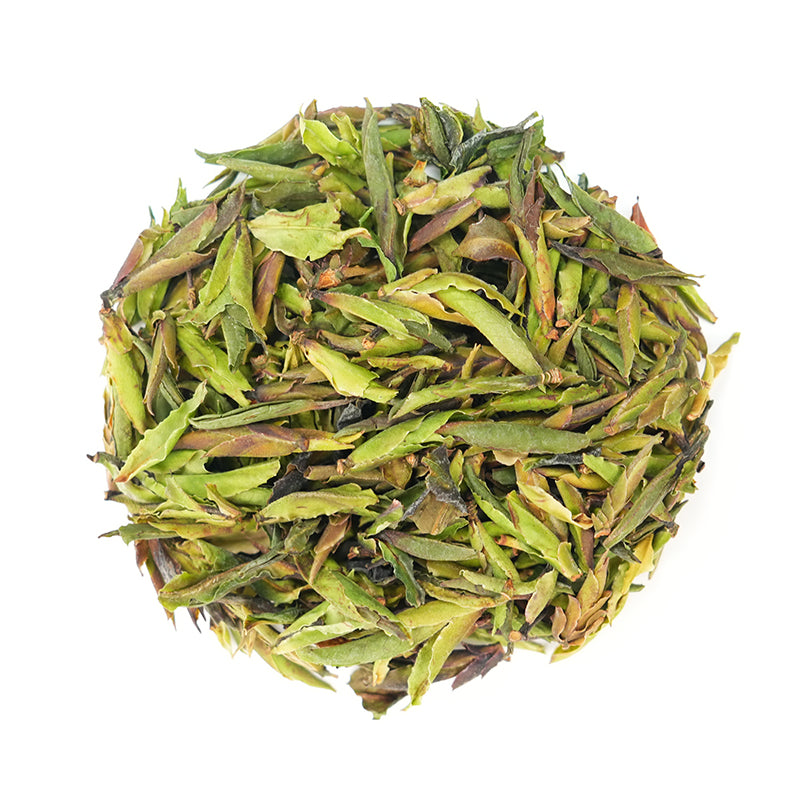 Wild green buds | Sanqing Nourishing Essence