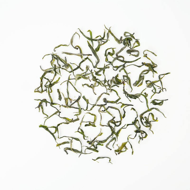 Xiangxi Golden Thread | Jade Chestnut Nourishing Essence