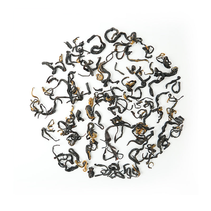 Paulownia Golden Horse Eyebrow | Honey-scented Orchid