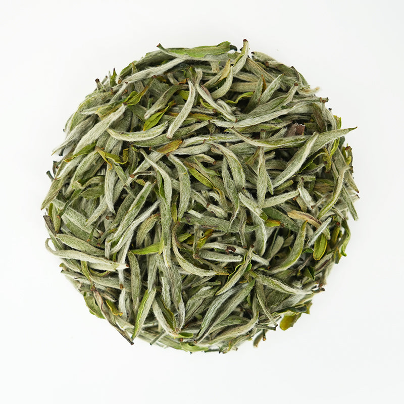 Yunling Silver Needle | Fragrant and Nourishing