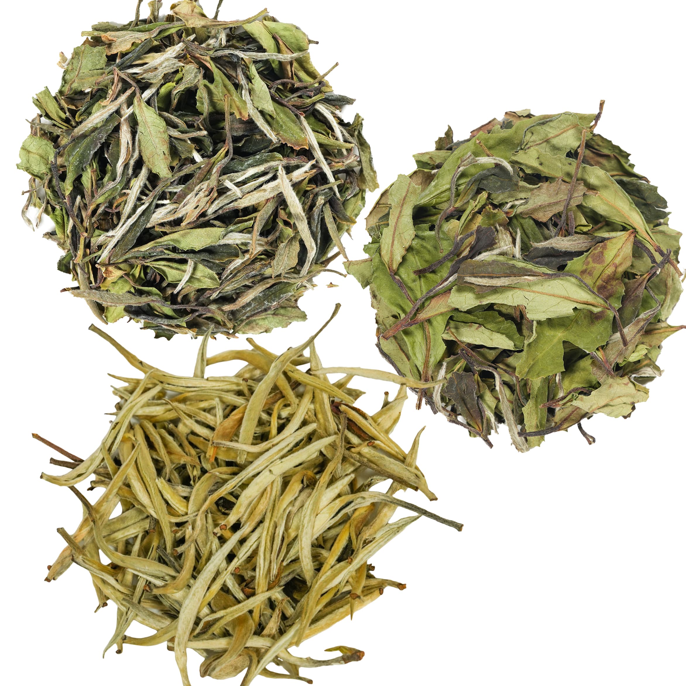 White Tea Sample Shoumei White Peony Silver Needle