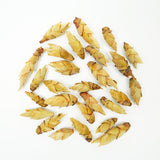 Wild Sprouts in a Secret Realm | Snow Bud Nourishing Essence