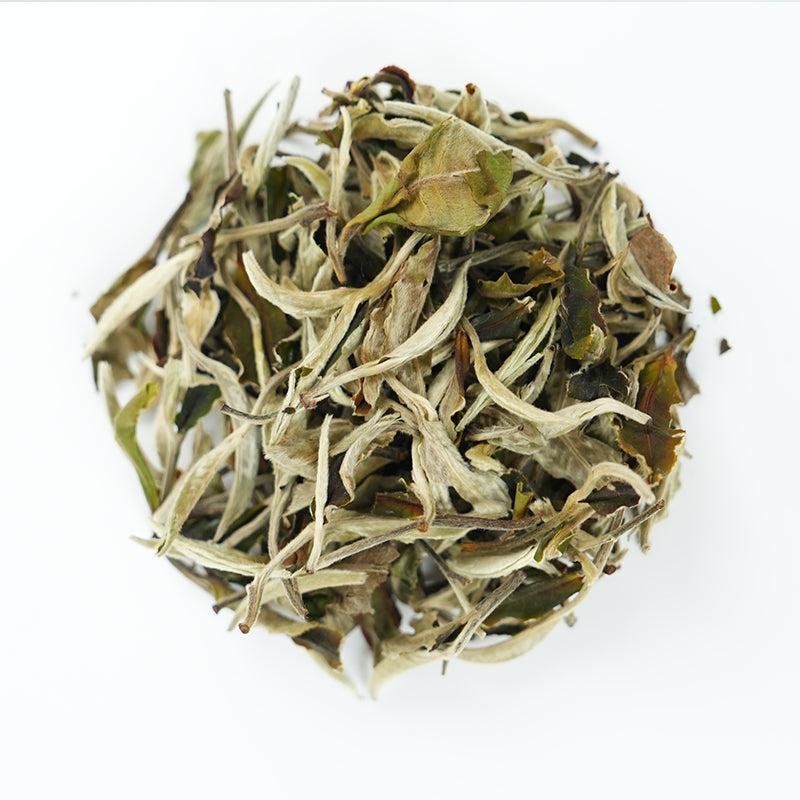 National Standard Moonlight White | Orchid Charm Nourishes the Heart