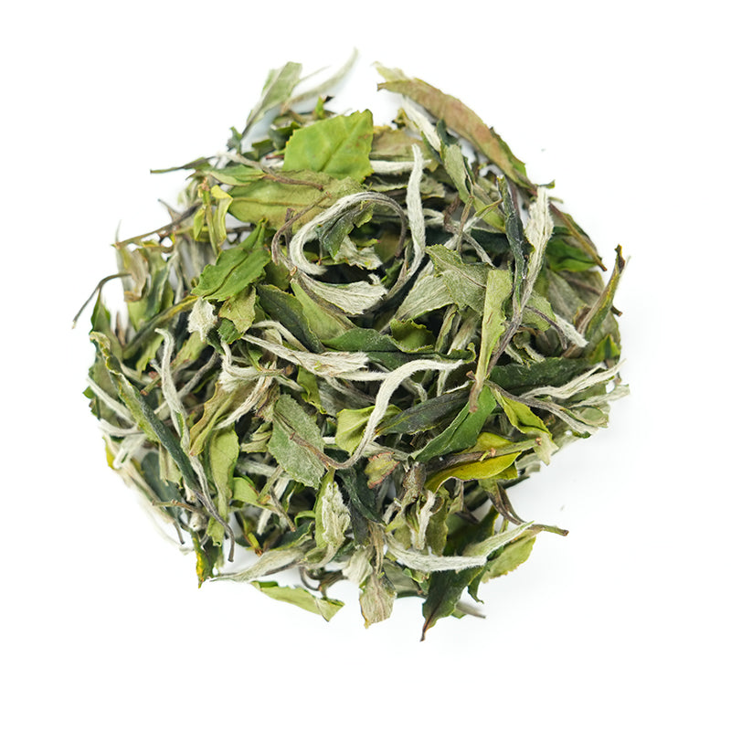 Fuding White Peony | Sun-Dried Beauty