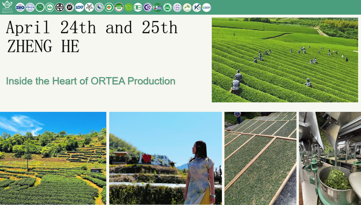 2026 ORTEA Premium Tourism