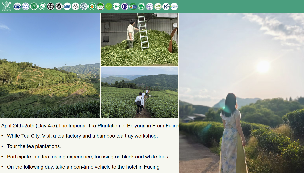 2026 ORTEA Premium Tourism