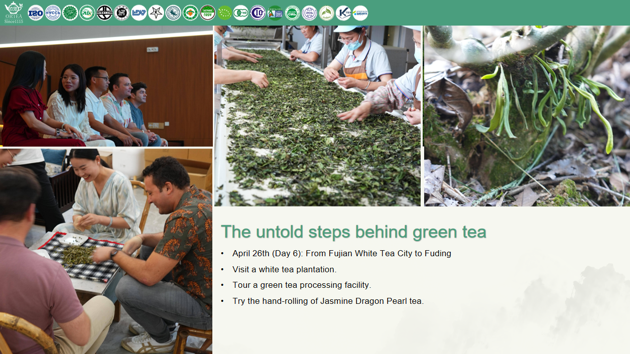 2026 ORTEA Premium Tourism