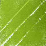 Jingshan Emerald Snow | Cotton Nourishing Essence