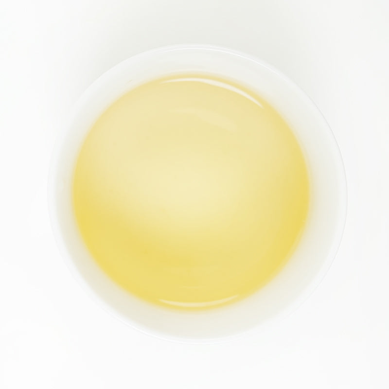 European Standard White Peony | Sweet and Refreshing Charm