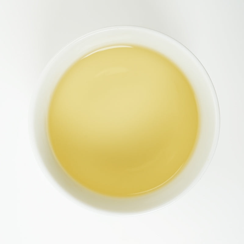 Yunling Silver Needle | Fragrant and Nourishing