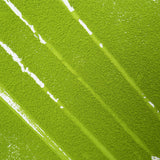 Alpine Matcha | Rich and Nourishing