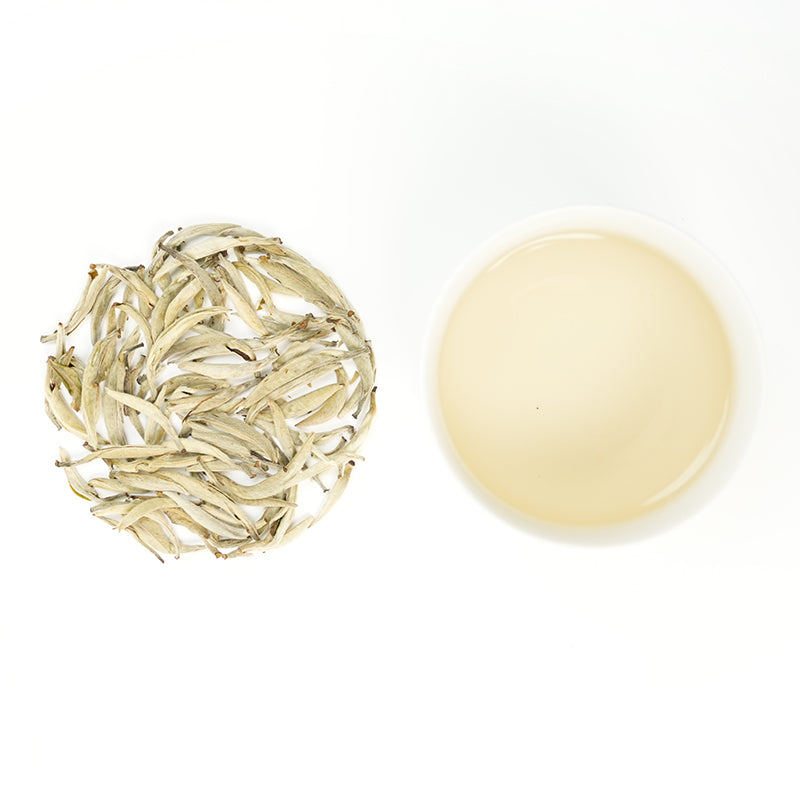 Jinggu Silver Needle | Cloud Bud Nourishing the Heart
